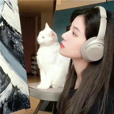 王子之剑